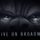 Illustration for article titled iKing Kong/i Is Coming to Broadway as a Musical